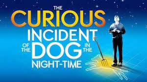 The Curious Incident of the Dog in the Night Time Book Project