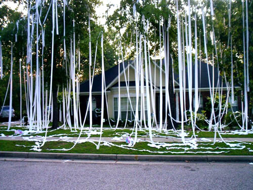 The Toilet Paper War