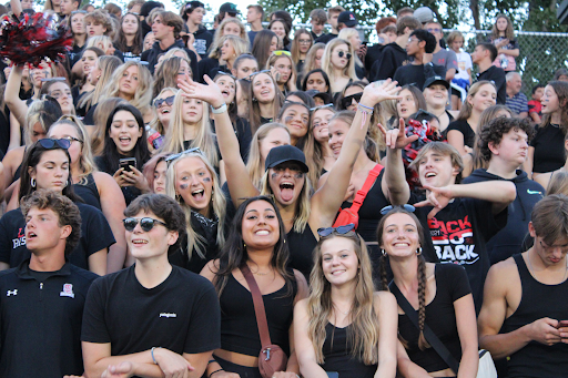 School Spirit: Why Isn't There More?