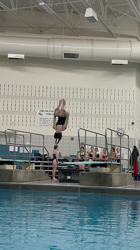 Spring Lake Diving Teams Successful Conference Meet