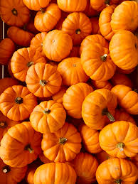 The History of Pumpkin Carving