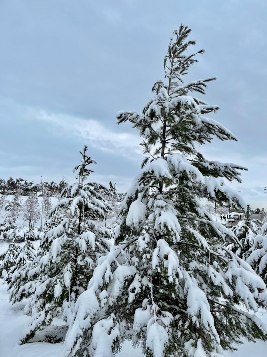 Spring Lake Students Enjoy a Mid-Week Snow Day