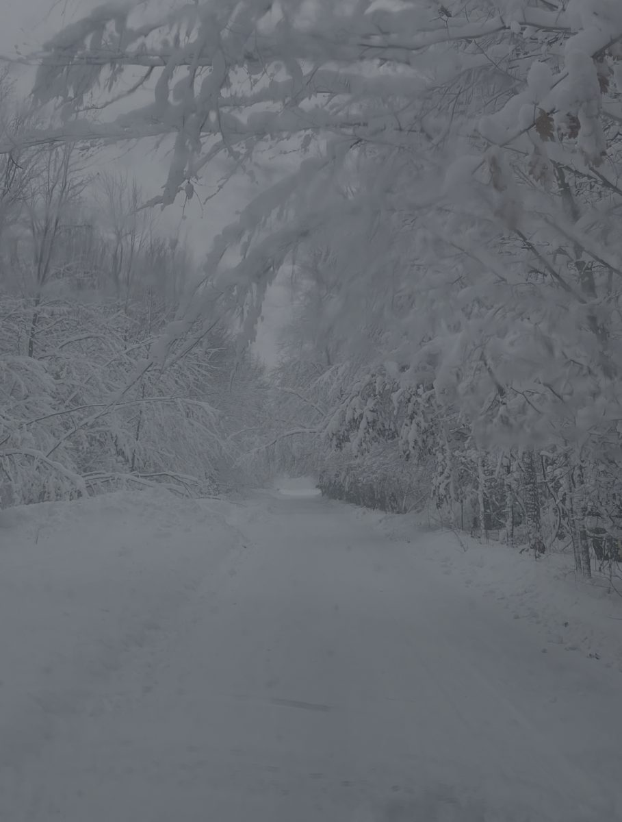 What Goes Into Calling a Snow Day?